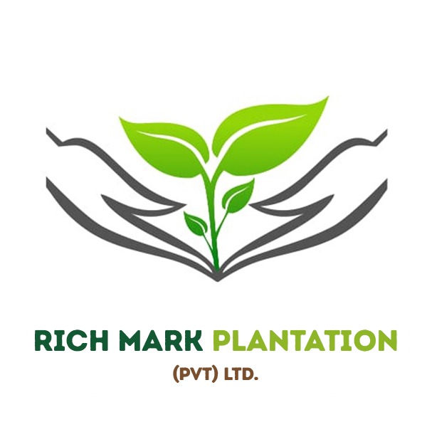 Plantation